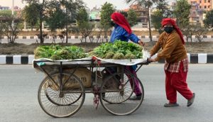 काठमाडौंमा साइकल र ठेला गाडामा व्यापार गर्न निषेध