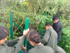 चितुवा नियन्त्रणमा लिन तीनथानामा फलामे खोर र खसी !