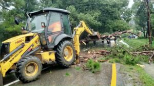 कीर्तिपुरमा ढलेकाे रुखमा माेटरसाइकल ठाेकिंदा चालकको मृत्यु