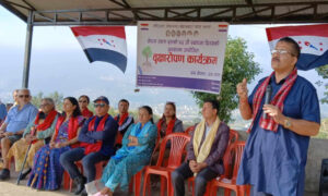 नेपाल तरुण दलद्धारा चोभारमा वृक्षरोपण